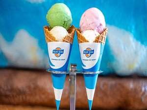 ブルーシールパイナガマ店