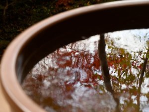 露天風呂に映る庭園の景色。お部屋でも秋を存分に感じて。
