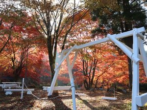 紅葉と白いブランコ