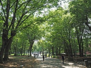��쉶�������@�ʐ^�񋟁F�䓌��