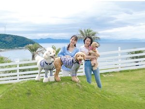 ドッグラン
