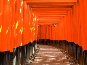【伏見稲荷大社】千本鳥居が創り出す幻想的な伏見稲荷大社。