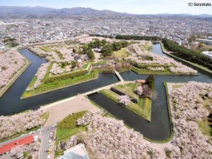 五稜郭公園(春)