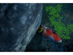 �Θa���򋽁@���ف@���(������j�̎ʐ^