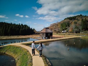 田んぼ畔のお散歩