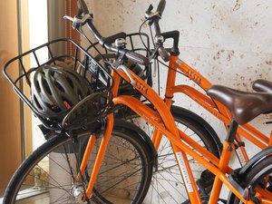 観光情報はスタッフまで!地元を知り尽くしたおすすめ情報をご紹介します