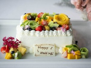 �A�j�o�[�T���[�P�[�L�b�X�N�G�A