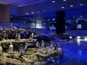 周辺観光|すみだ水族館 当館より徒歩で約13分