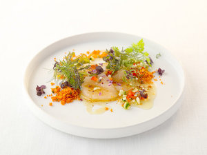 �E�z�^�e�̃J���p�b�`��