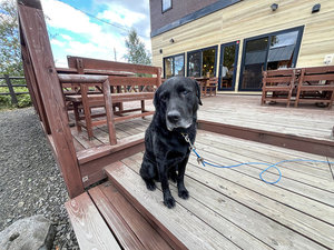 �u�̏h�@������̎{�ݎʐ^1