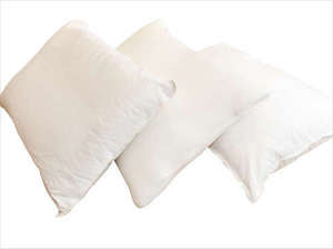 �e�K�t���A�ݏo�I�i�I�ׂ閍�j