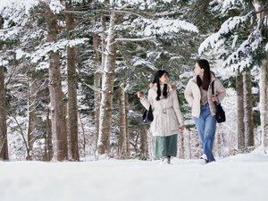 【森のさんぽ道】シマエナガと出会えるかもしれないスポットや、秀峰駒ヶ岳のビュースポットがあります。
