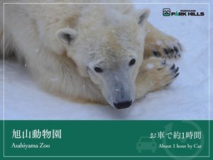 旭山動物園/車で約1時間