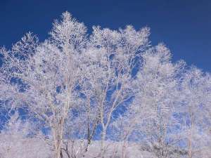 uꍂ΂̓@΂̓bW̎{ݎʐ^1