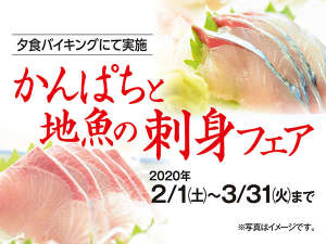 かんぱちと地魚の刺身フェア!