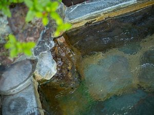 �������ʂ����҂ł��闰����ł��났�̂ЂƎ�