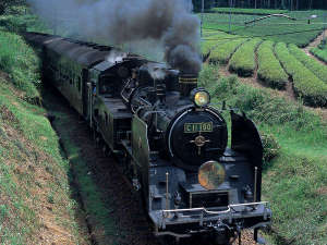 ■ 大井川鐵道 蒸気機関車(SL) 茶畑のある風景