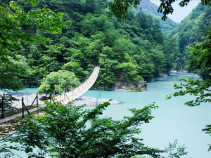 寸又峡 夢のつり橋