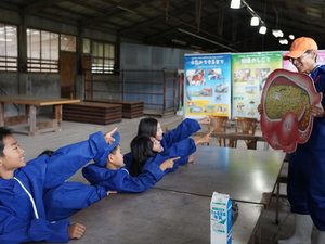 酪農プランA