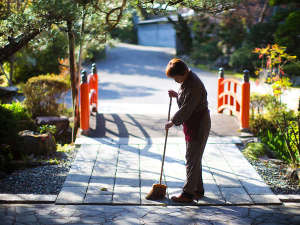 柔らかな太陽の木漏れ日をうけ、今日もまた清清しい一日が始まります