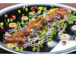 �J���p�b�`��