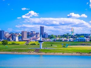 【当館から徒歩16分】広大な敷地を持つ公園で、散歩やサイクリングを楽しめ「淀川河川公園」