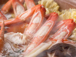 v`ze@Aoitori̎{ݎʐ^1