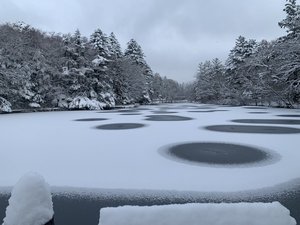 雲場池