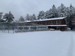 雪景色
