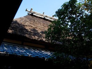 �āA��ɉf���銝������