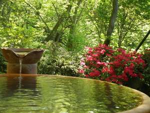 【栃木県:那須・板室】那須湯菜の宿 芽瑠鼓