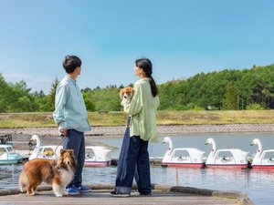 【女神湖】わんちゃんとのお出かけイメージ