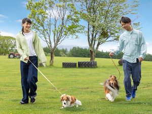 【信州白樺高原 長門牧場】わんちゃんとのお出かけイメージ