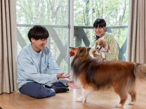 【わんちゃんとのご滞在イメージ】
