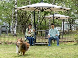 【DOG PARK】ご利用イメージ