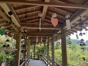 高野寺「風鈴まつり」。シャクナゲ寺で知られる高野寺の長い回廊に風鈴が並びます。