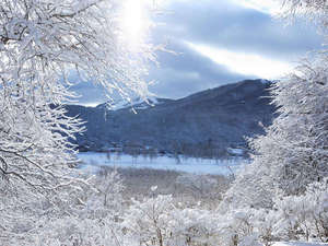 冬の白樺湖で樹氷や山々の景色を堪能。
