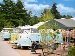 6���h�[���e���g�O��