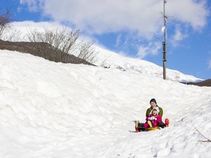 *そり遊びイメージ