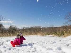 *そり遊びイメージ