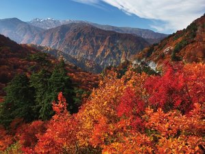 白山白川郷ホワイトロード片道無料キャンペーン開催(2026年6月12日〜11月10日 ※予定)