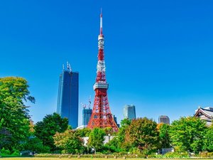【当館から徒歩20分】展望台から東京の街並みを一望できる、日本のシンボル「東京タワー」