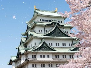 ���������m�S���É��ɂ��閼�É���B���{100����ɑI�肳��Ă���A���̓��ʎj�ՂɎw�肳��Ă��܂��B