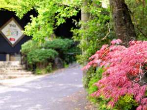 【周辺・景観】春は桜、初夏は青もみじ、秋は紅葉…四季折々の自然を満喫できます。