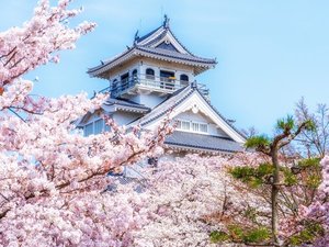 �{��J����`�퍑�������ʂ������j�̔铒�`�̎ʐ^