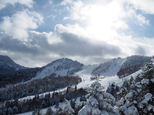 uꍂ ̐@zeWpu̎{ݎʐ^1