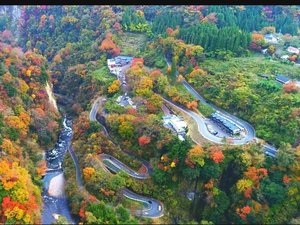 قƐȉh@Â̎{ݎʐ^1