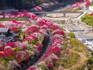 ���_����l�G�̐D �͂Ȃ�i���F�z�e���͂Ȃ�j�̎ʐ^