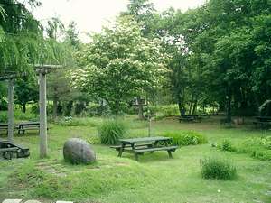 【栃木県のペットと泊まれる宿】ゲストハウスもみの木