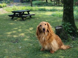 �Q�X�g�n�E�X�@���݂̖؂̎{�ݎʐ^1